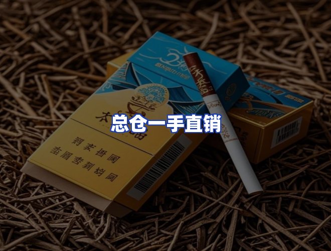 专业团队